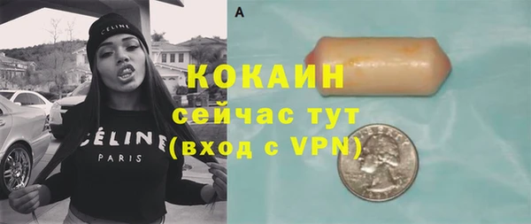 шишки Медногорск