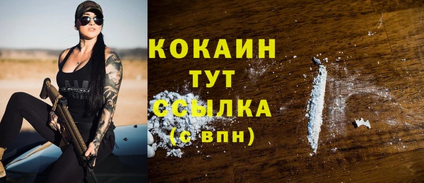 шишки Медногорск