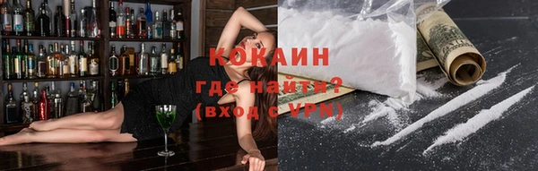шишки Медногорск
