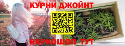 трава Бийск