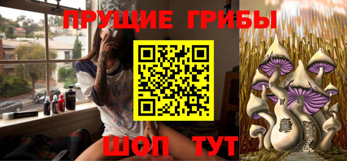 Егорьевск  продажа наркотиков  Галлюциногенные грибы Cubensis  Вход с VPN  Галлюциногенные грибы Cubensis 